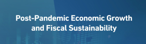 Holding the virtual meeting “Economic growth and financial sustainability in the post-pandemic period”
